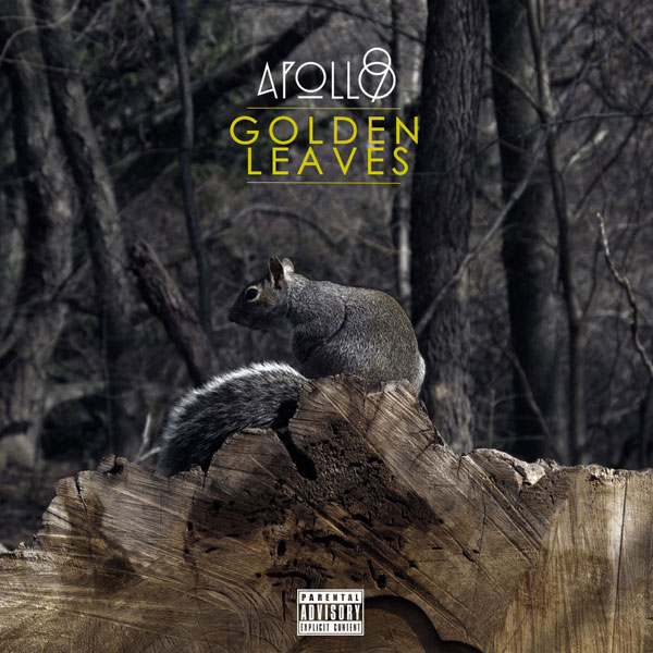 Apollo 90 - Golden Leaves (remix)
